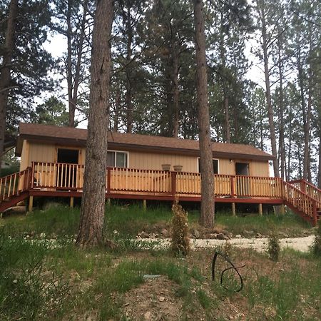 New Cabin 1 Car Rental Available Custer Dış mekan fotoğraf